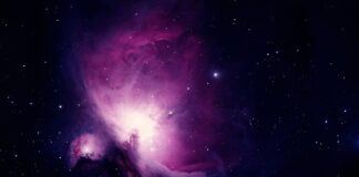 Nauki ścisłe Nauki ścisłe