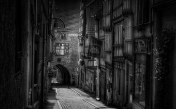 Jaka jest rola i zadania instytucji sieci bezpieczeństwa finansowego?