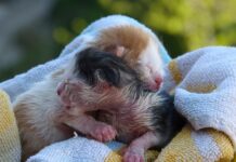 Możesz wypłacić środki dopiero po 60 roku życia? Możesz wypłacić środki dopiero po 60 roku życia?