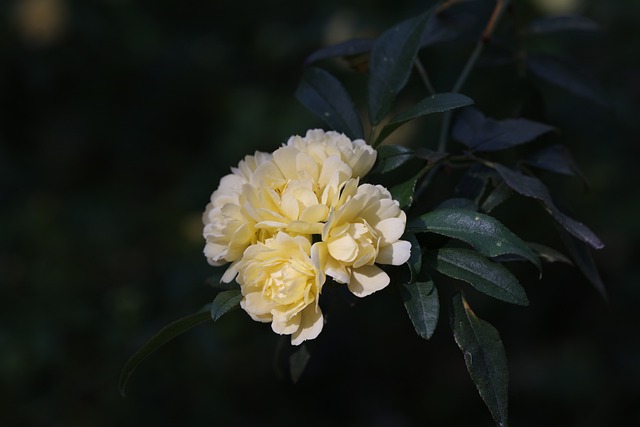 Ile jest banków w Polsce KNF? Ile jest banków w Polsce KNF?