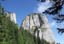 Jak się liczy kosztorys?