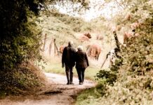 Ile emerytury z PPK? Ile emerytury z PPK?