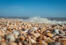 Czy dłużnik może kupić swój dług?