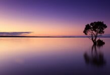 Jak przeżyć życie w samotności? Jak przeżyć życie w samotności?