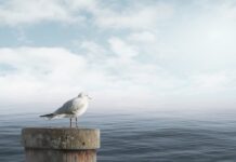 Co zrobić żeby się szybko uspokoić?