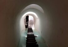 Jak sprawdzić ile ma się długów za darmo? Jak sprawdzić ile ma się długów za darmo?