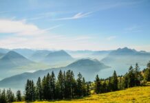 Czy komornik umarza długi? Czy komornik umarza długi?