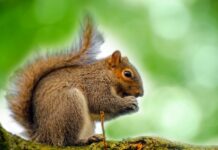 Jak długo organizm oczyszcza się z antydepresantów?