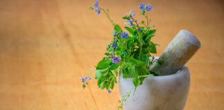 Jakie zioła wspomagają leczenie astmy? Jakie zioła wspomagają leczenie astmy